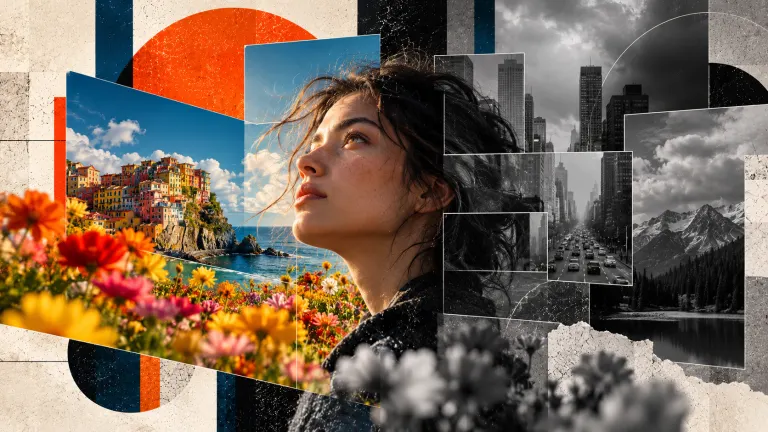 ¿Por qué el mundo está perdiendo su color?